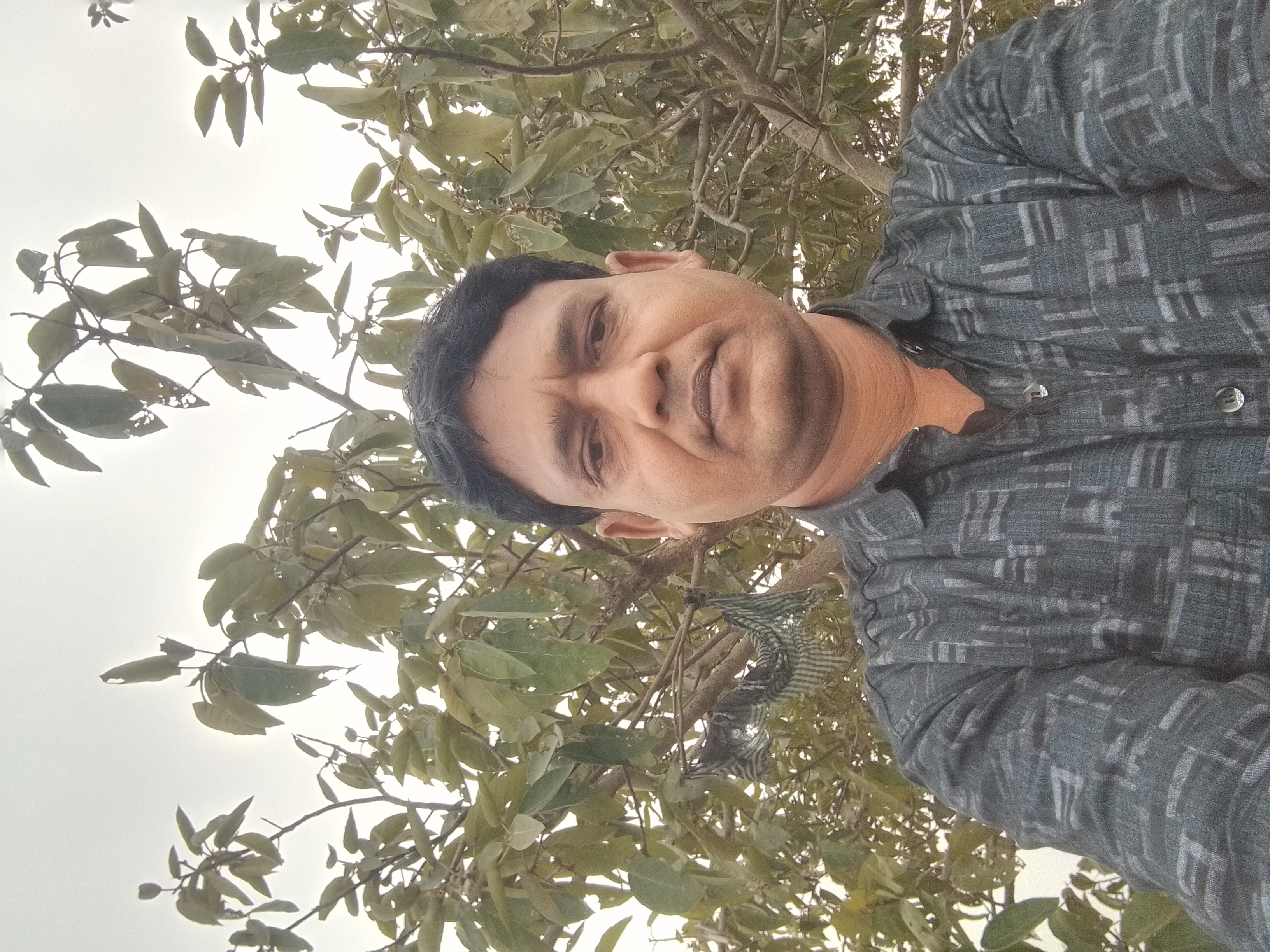 Member