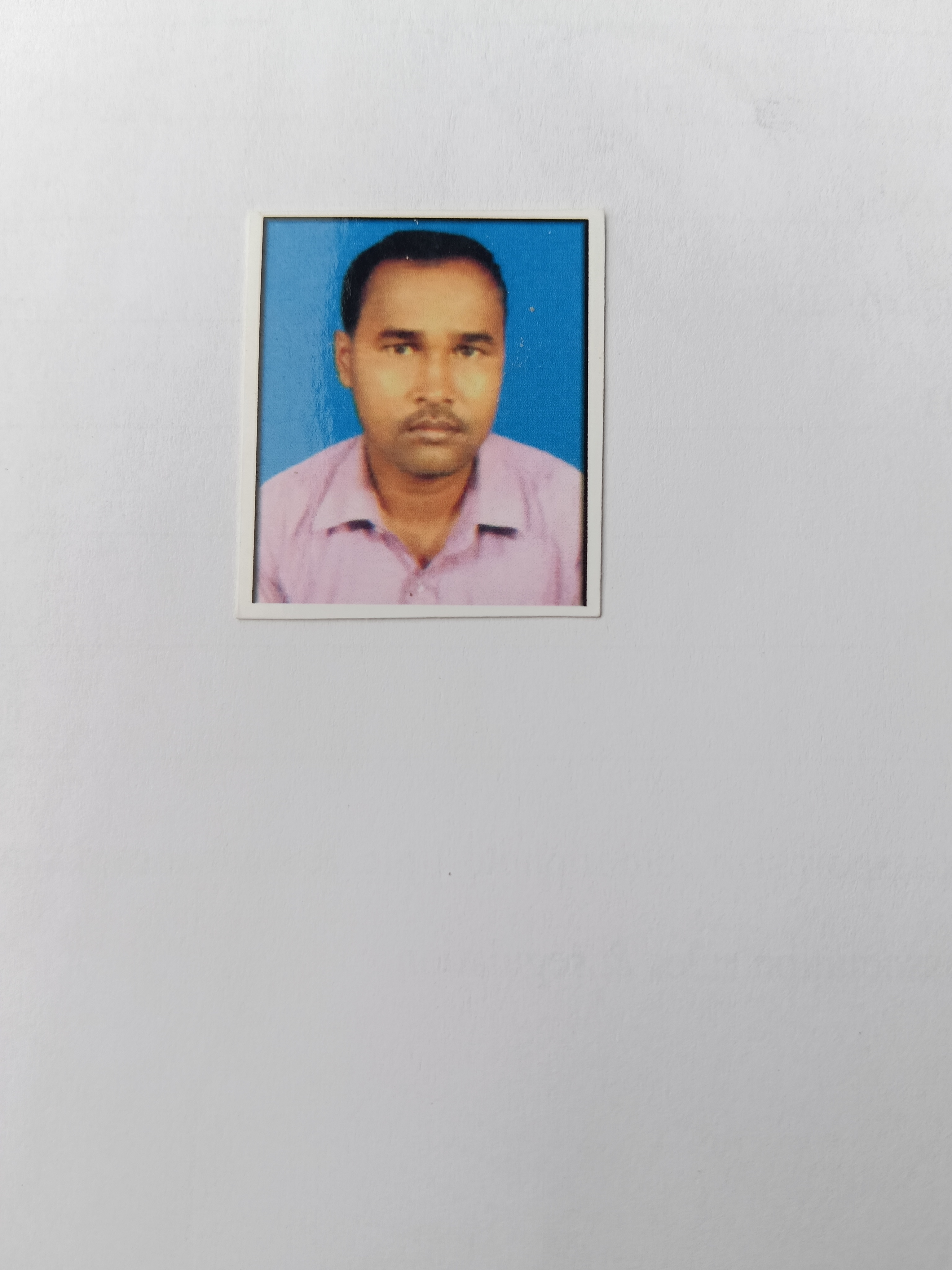 Member