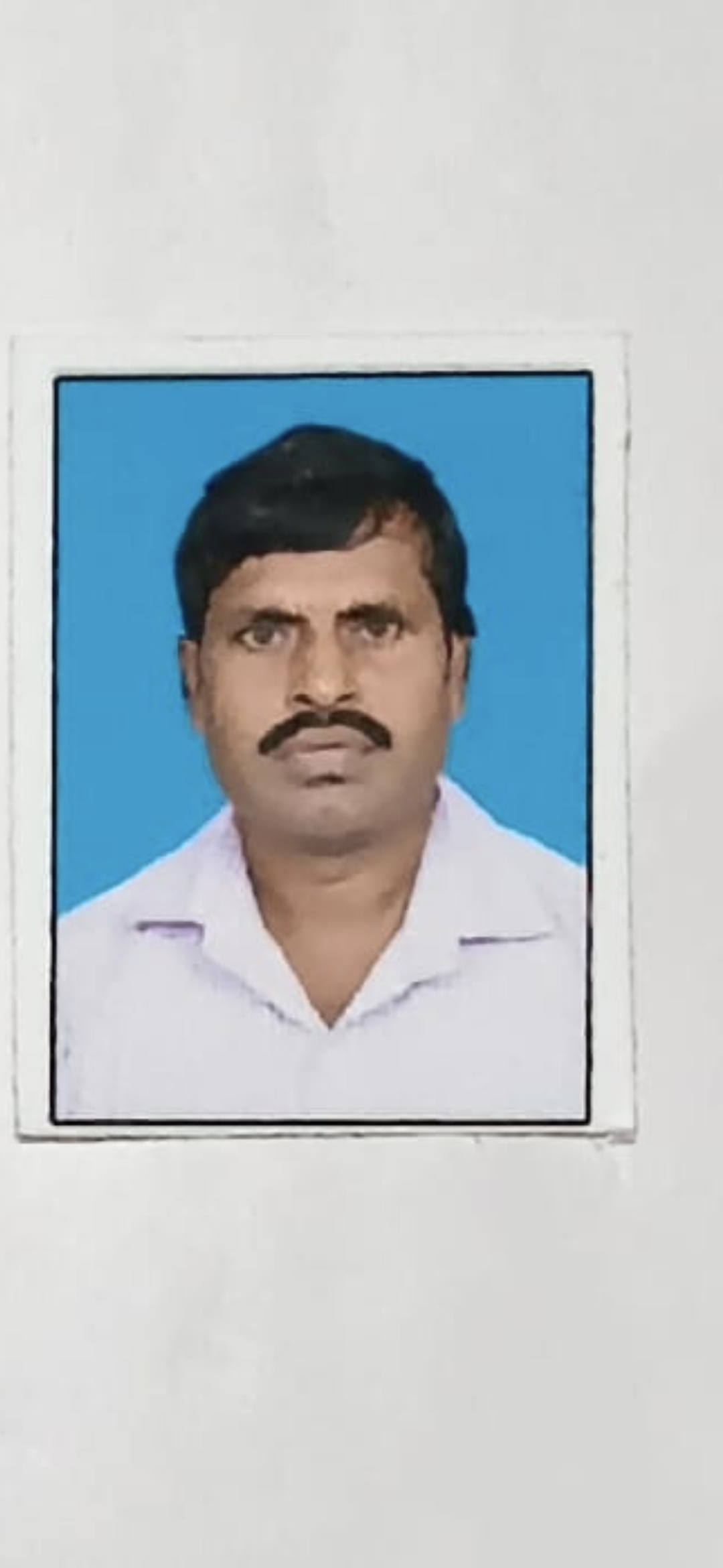 Member