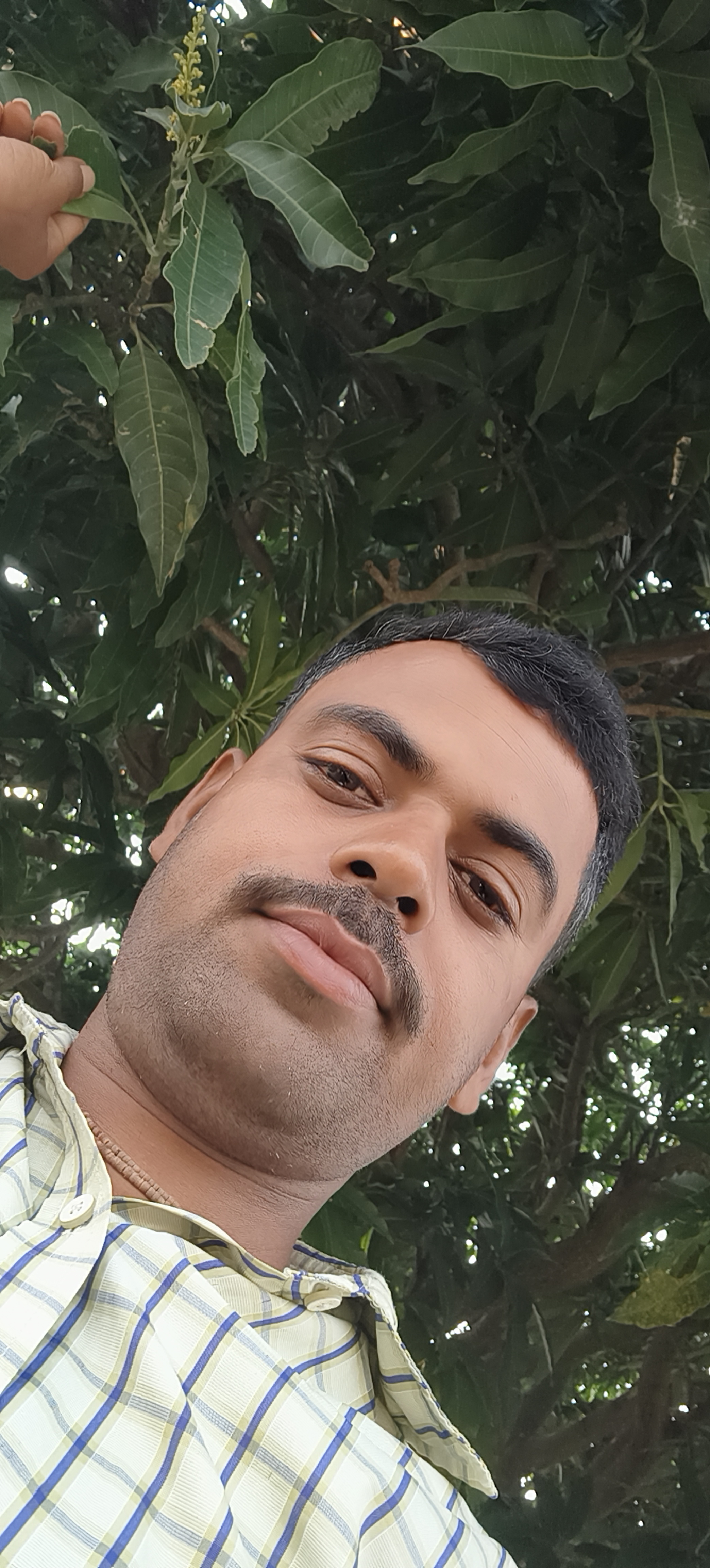 Member