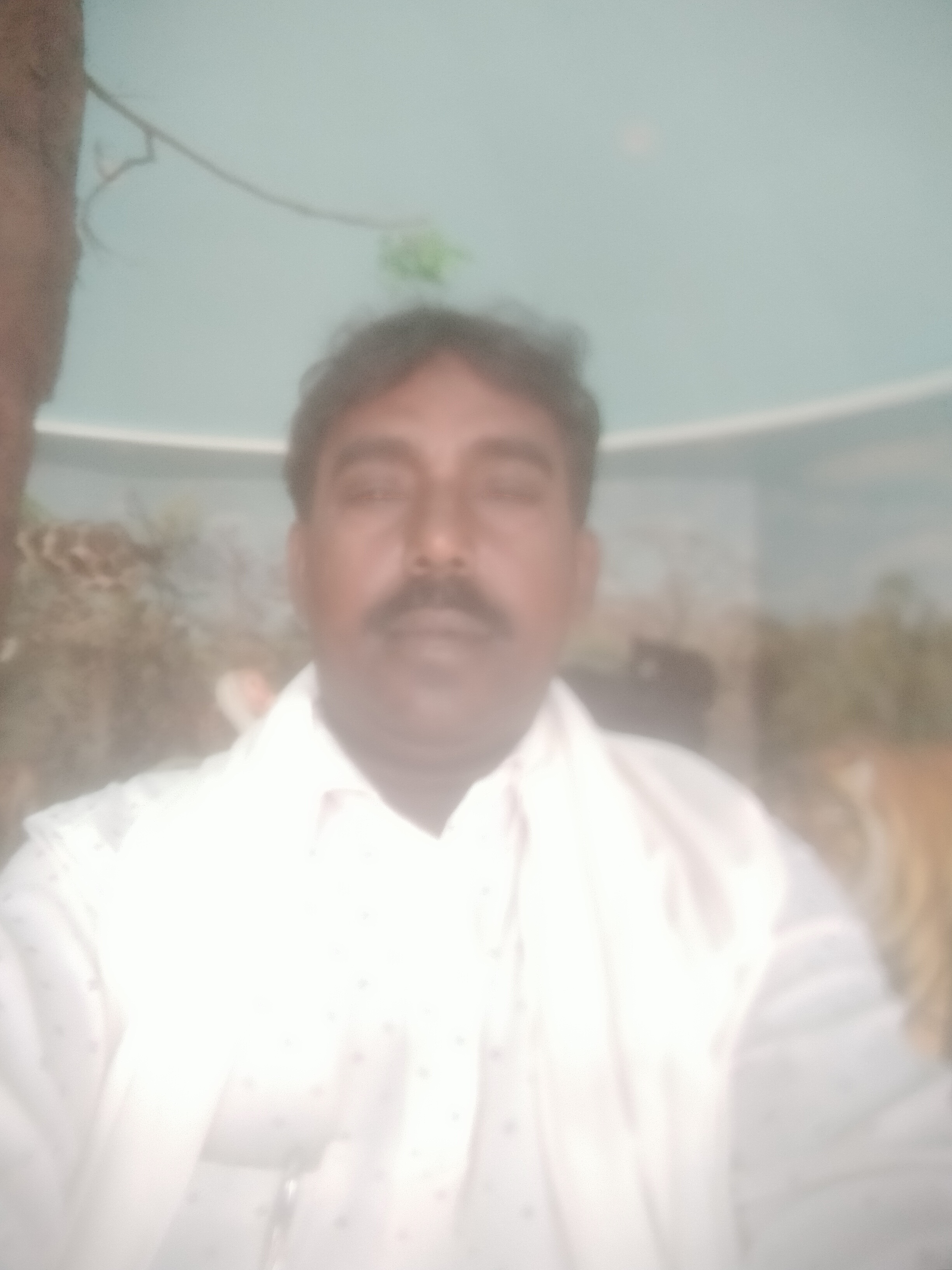 Member